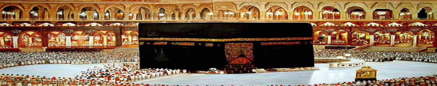 Bakhla International Travels